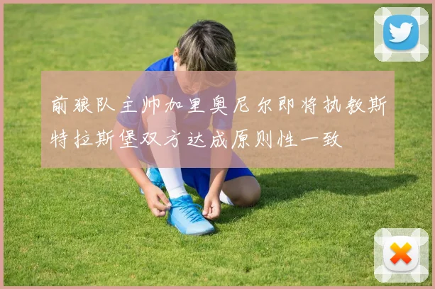 前狼队主帅加里奥尼尔即将执教斯特拉斯堡双方达成原则性一致